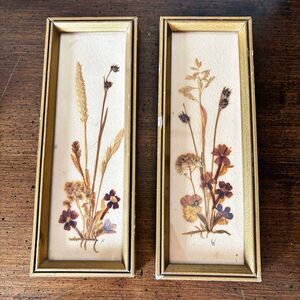 Set Vintage Pressed Flower Framed East Germany 7.5”x2.75” Cottage Core Signed